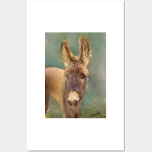 Pepé The Donkey Posters and Art